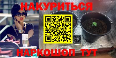 метадон Будённовск