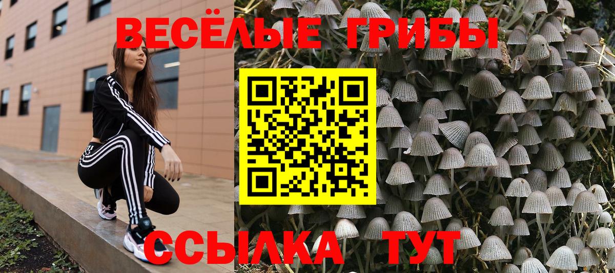 Белогорск  Галлюциногенные грибы GOLDEN TEACHER  Псилоцибиновые грибы GOLDEN TEACHER  Вход с VPN 